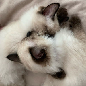 Meet your Posher, Matthew